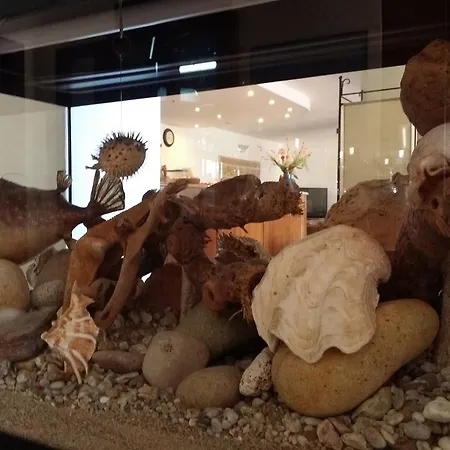 普拉玛兹酒店 酒店