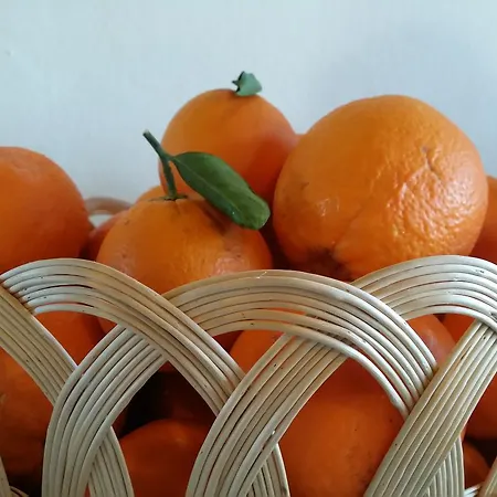 Plammas فندق سانتا ماريا نافاريز