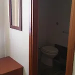 Plammas 3*