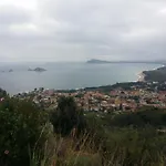Plammas