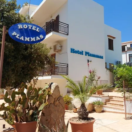 Plammas 3*
