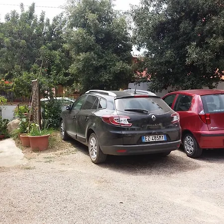 Plammas