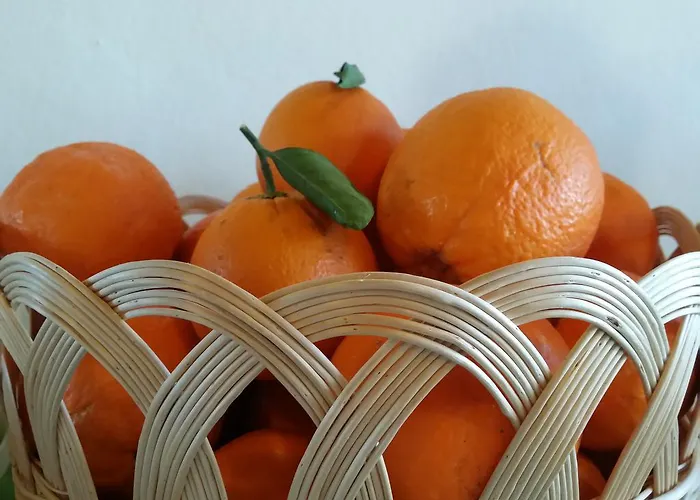 Plammas Szálloda Santa Maria Navarrese